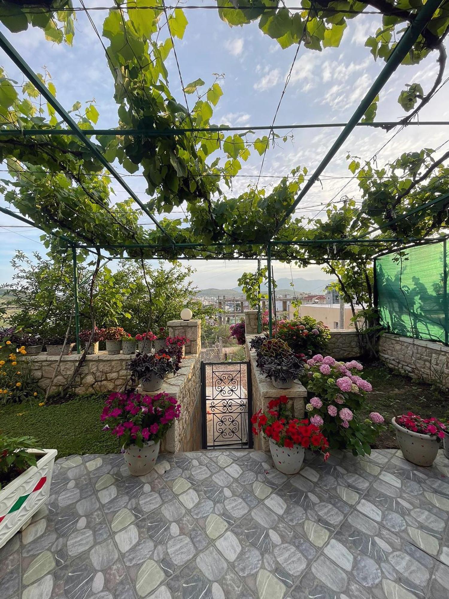 Vila Garden *
